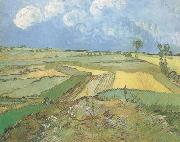 Vincent Van Gogh Wheat Fields at Auvers under Clouded Sky (nn04) Spain oil painting artist